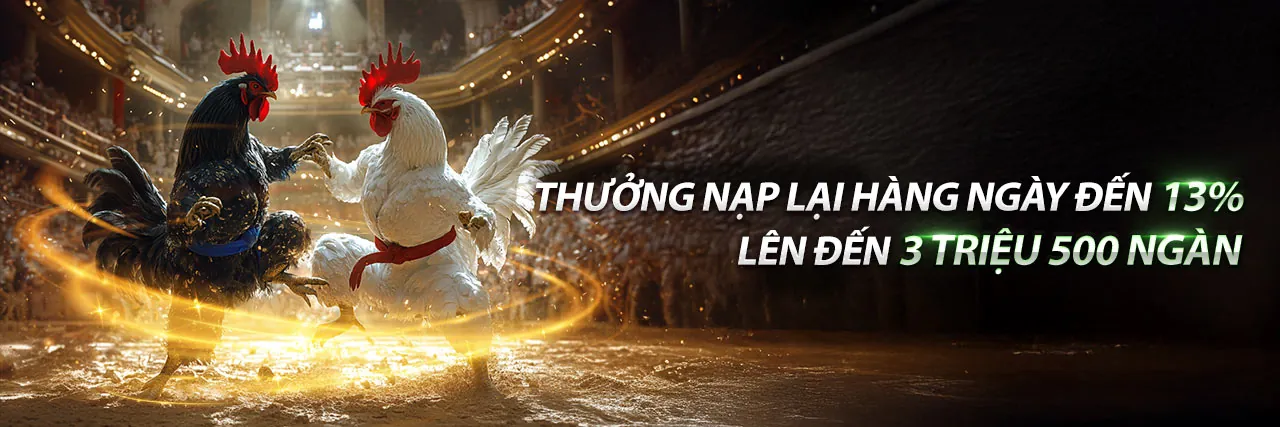 Hình ảnh chính đá gà tại mot88 chính thức